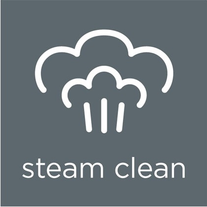 Steam Clean