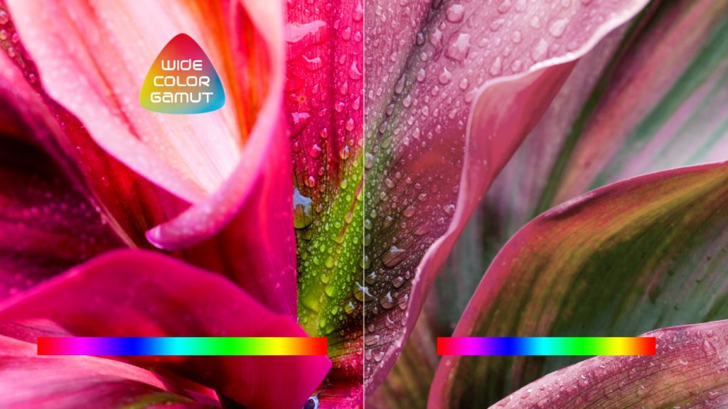 Wide Color Gamut – Široký barevný gamut: Sledování obohacené o živější a bohatší barvy