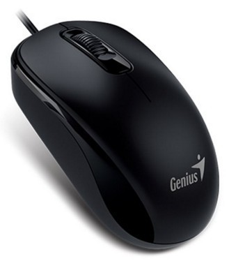 Genius DX-110, USB, černá 31010116107